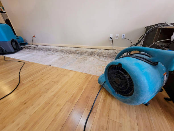 Professional Flood Damage Cleanup technician working in Bainbridge, OH